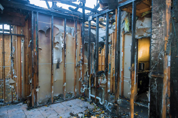 Professional Fire Damage Removal technician working in Homestead Meadows South, TX